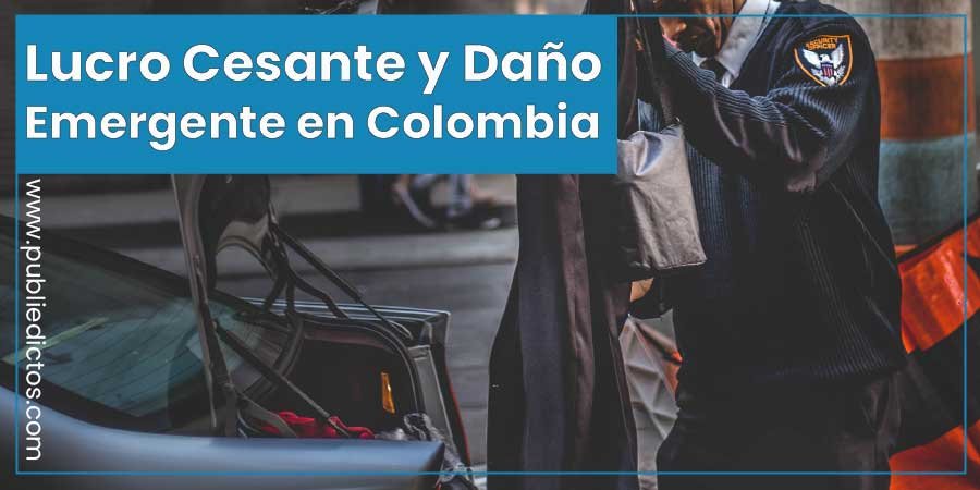 Lucro Cesante y Daño Emergente en Colombia 1 Lucro Cesante y Daño Emergente en Colombia