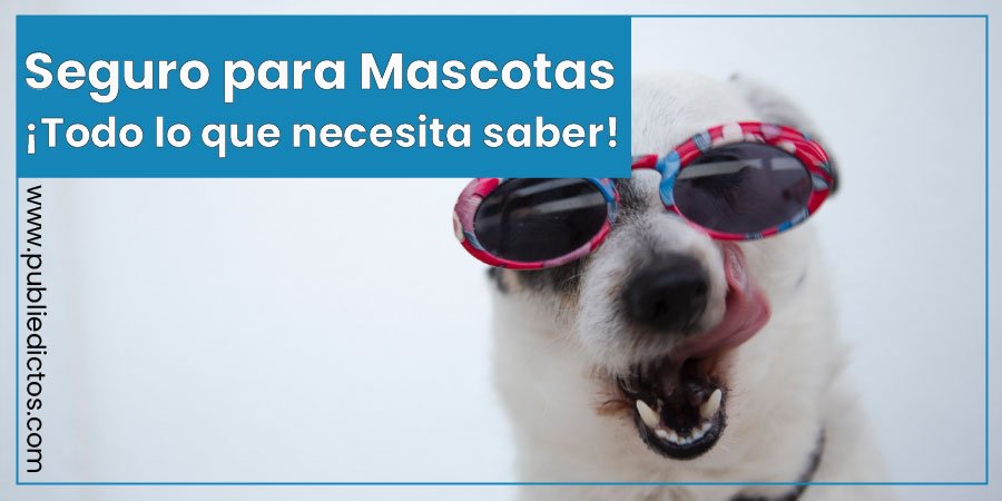 Que es un Seguro Para Mascotas: 5 Razones Para Adquirirlo 5 Imagen de Seguro para Mascotas