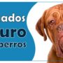 ¿Qué perros están obligados a tener seguro en Colombia?