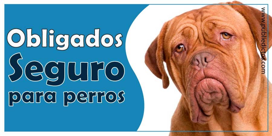 ¿Qué perros están obligados a tener seguro en Colombia? 3 Qué perros están obligados a tener seguro en Colombia