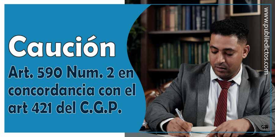 Caución Artículo 590 Numeral 2 en concordancia con el Artículo 421 del C.G.P. 1 Caución Art. 590 Numeral 2 en concordancia con el art 421 del C.G.P.